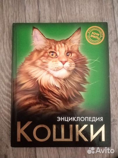 Энциклопедия