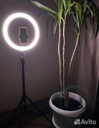 Новая цветная кольцевая лампа