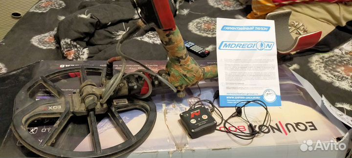 Minelab equinox 800