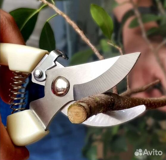 Секатор садовый
