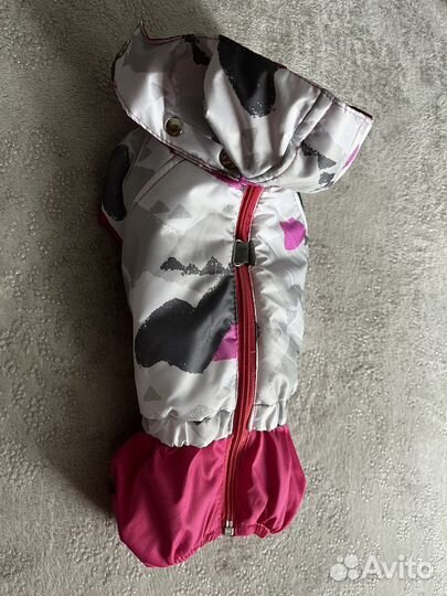 Костюм для собаки мелкой породы