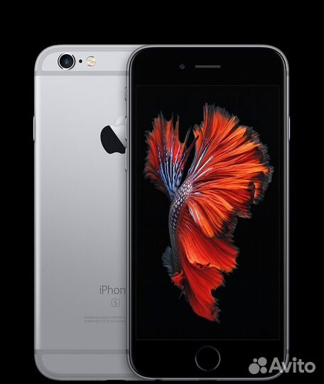 iPhone 6S, 64 ГБ