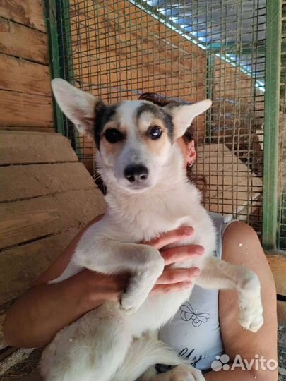 Девочка, ищет семью