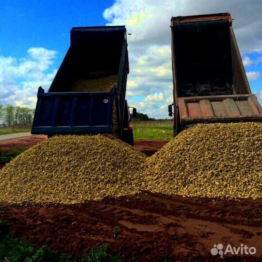 Отсев серый