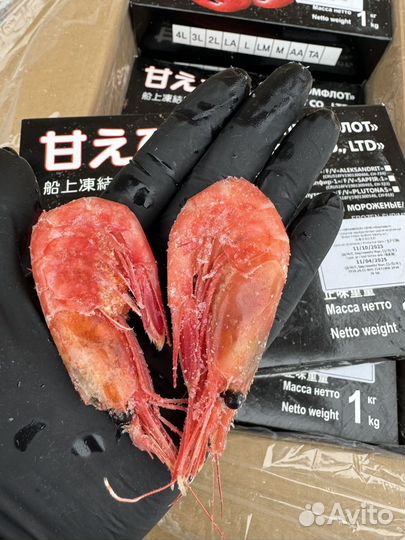 Креветки северные 70 /90