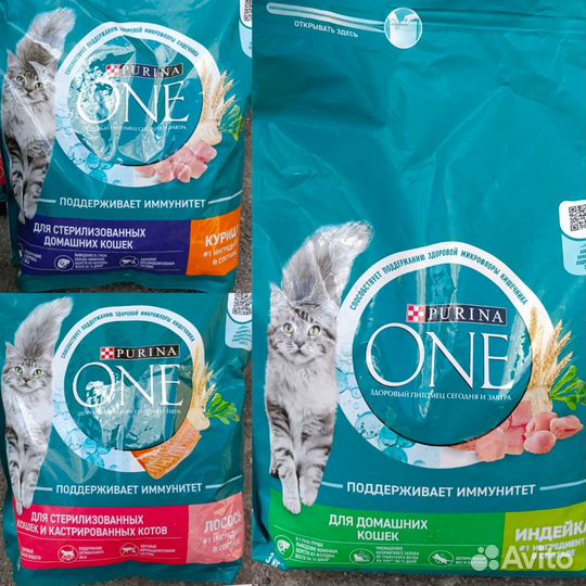 Сухой корм для кошек