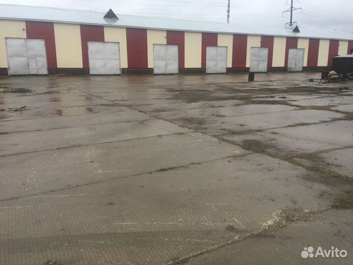 Услуги размещения тмц