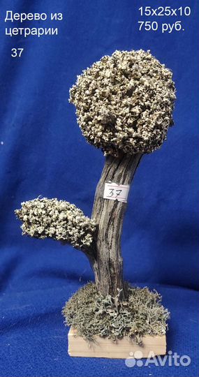 Коряги для аквариумов и террариумов