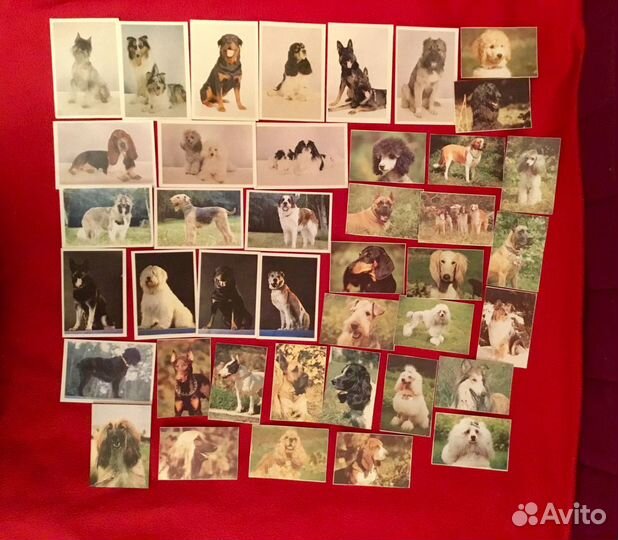 Календарики серии76-10гг машинки,животные,артисты