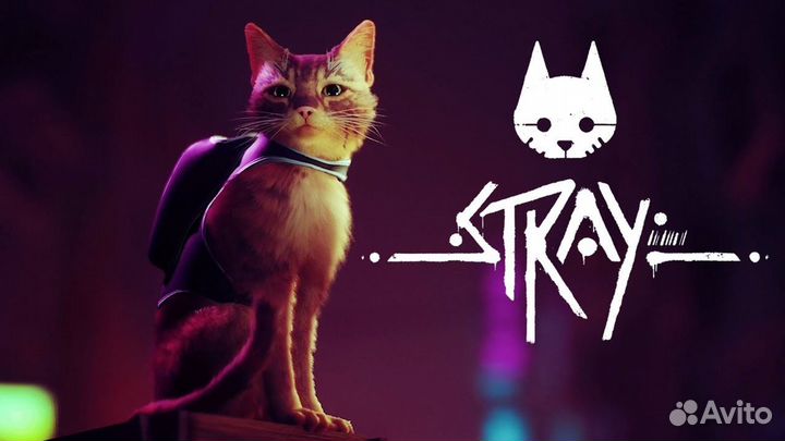Stray - 2022
