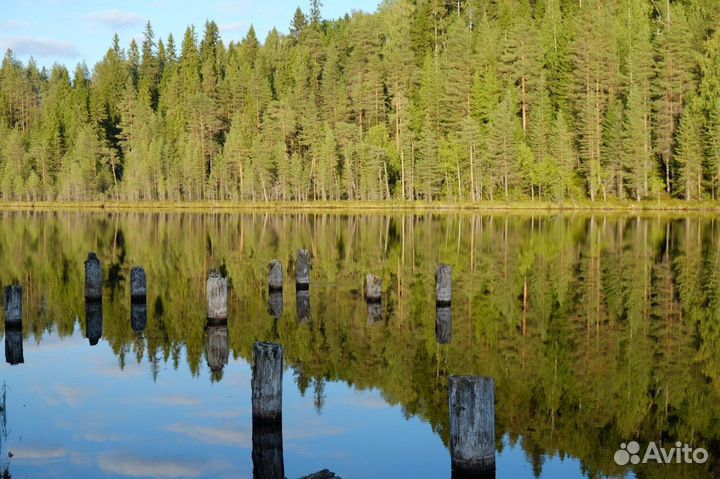 Авторский тур в Карелию, от 4 до 9 дн