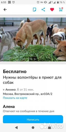 Собака