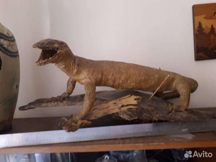 Чучело варана, Индонезия