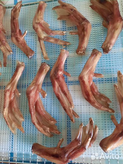 Полезные сушёные лакомства для животных