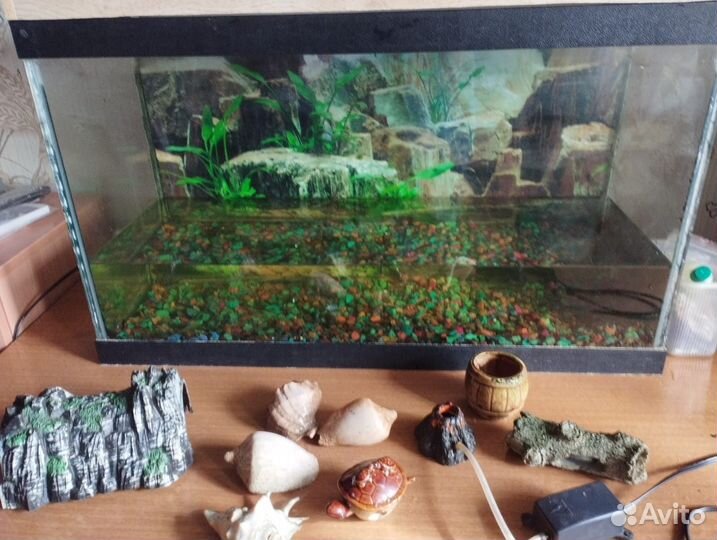 Аквариум