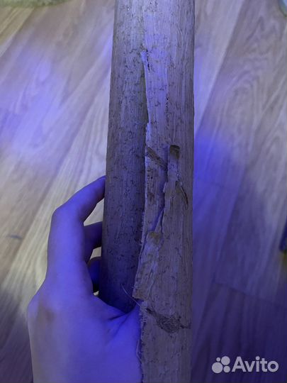 Папирус из египта