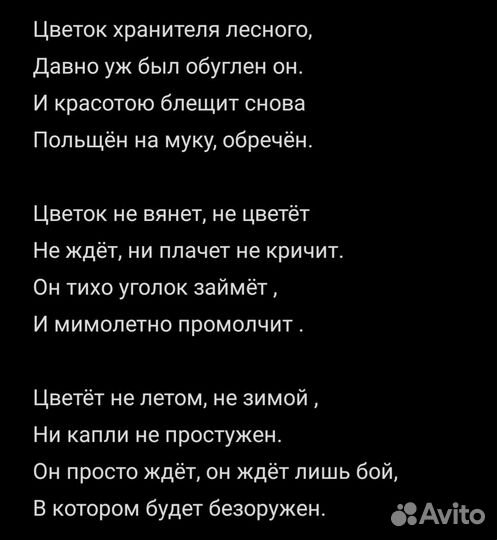 Стихи на заказ