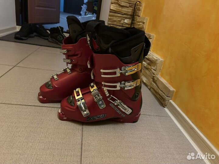 Горнолыжные ботинки