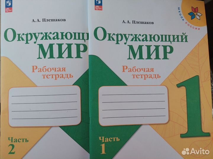 Окружающий мир 1 класс рабочая тетрадь