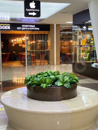 Здание, 39287 м²