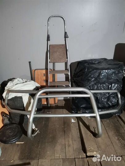 Кингурятник