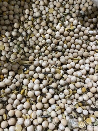 Комбикорм для кур и свиней. Экструдированный корм