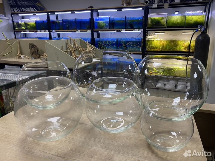 Аквариум круглый (шар)