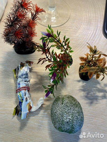 Аквариум полный комплект