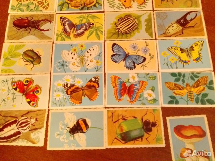Марки картинки насекомые СССР