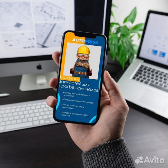 Дизайнер иллюстратор