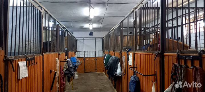 Постой для лошадей