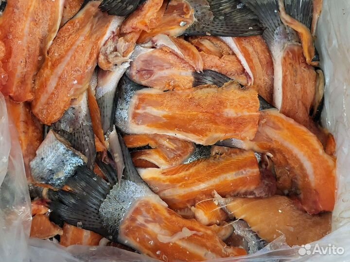 Рыба Головы Мясо для животных. Рыбный фарш