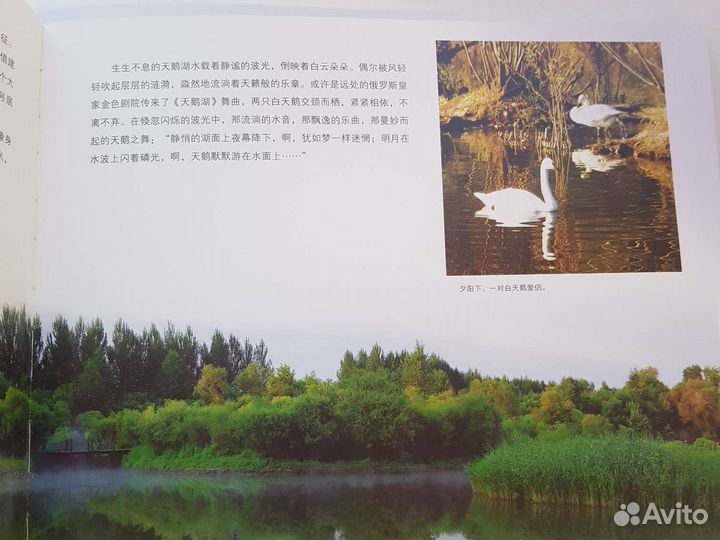 Фотокнига Sun Island парк солнца Харбин