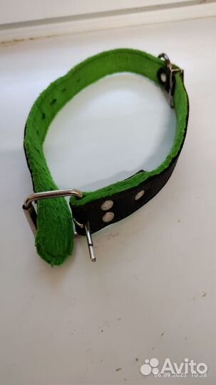 Ошейник для собак