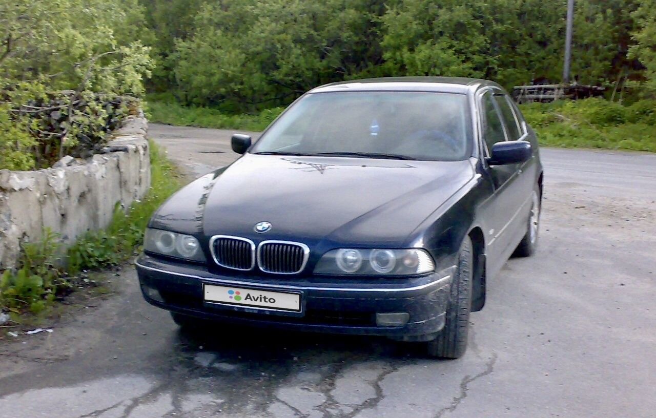 BMW 5 серия: фото владельца