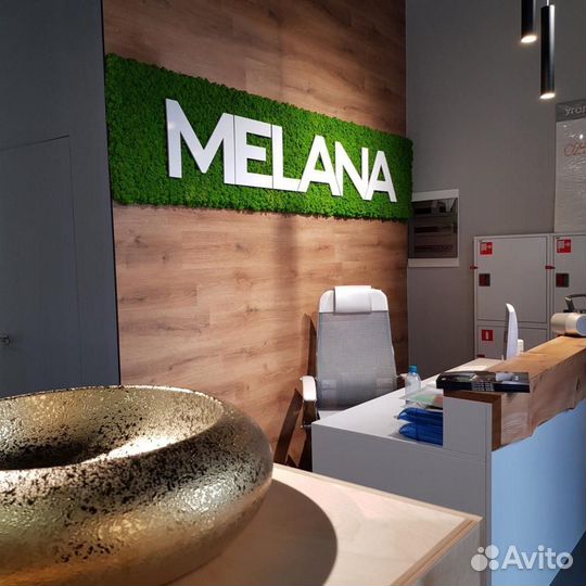 Логотипы буквы вывески надписи мох