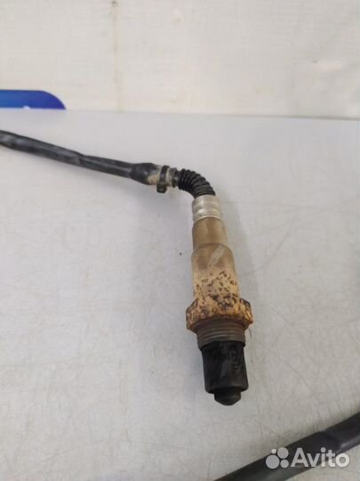 Датчик кислорода Volkswagen Touareg 7P5 cmta 2011