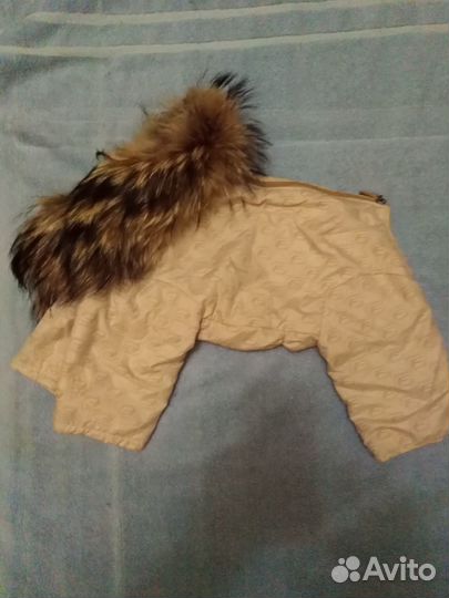 Одежда для маленьких собачек,зимний комбинезон