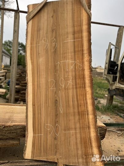 Слэб карагач