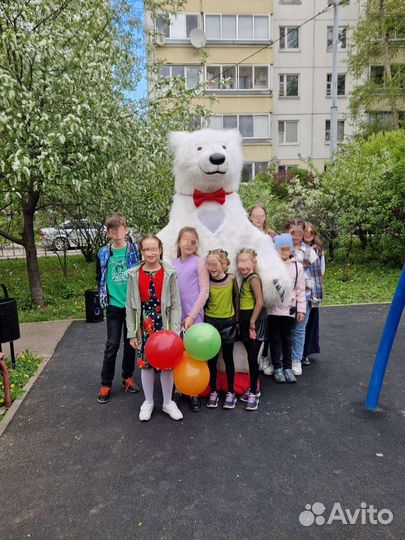 Поздравление Белого Мишки Зайца или Зайки Аниматор