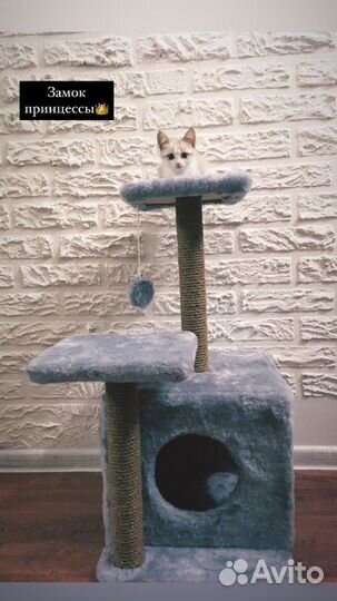 Домик лежанка для кошки