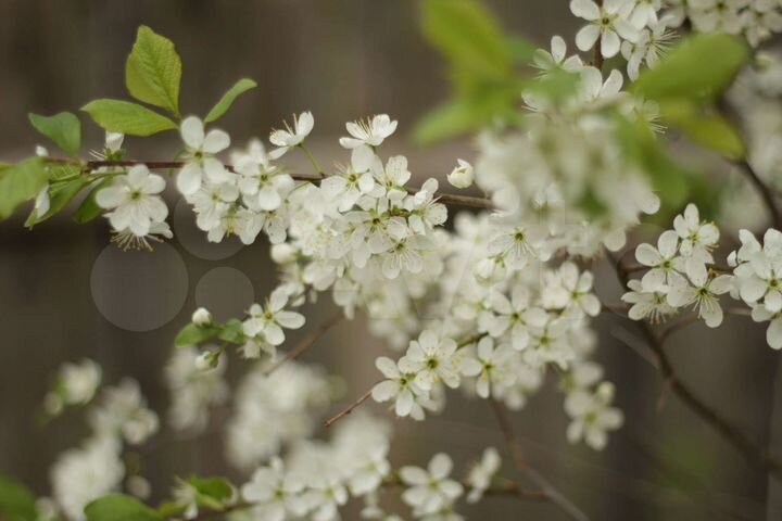 Дача 30 м² на участке 6 сот.