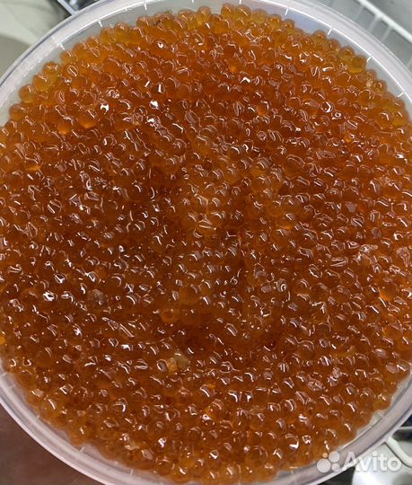 Красная икра горбуши свежая поставка