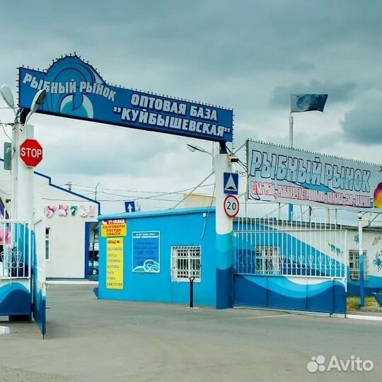 Водитель Mazda Bongo кат.B продукты питания