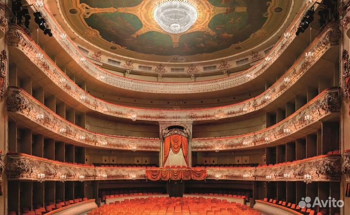 Билеты в Михайловский театр 1/2