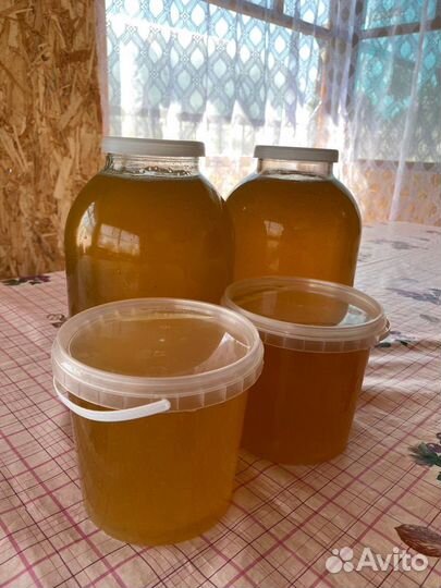 Мед натуральный, свежий, сбор 2023