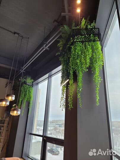 Озеленение интерьера