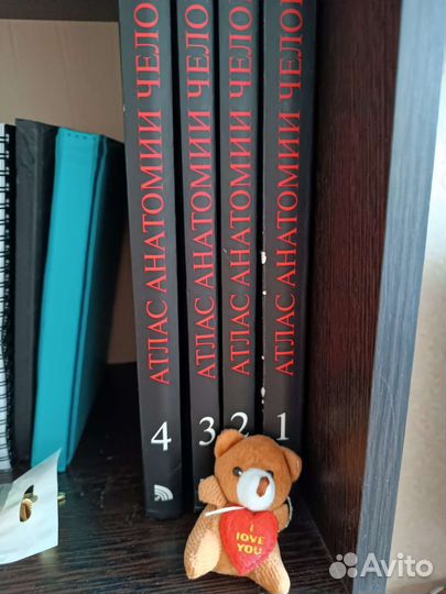Атлас анатомии человека Синельников 2015г