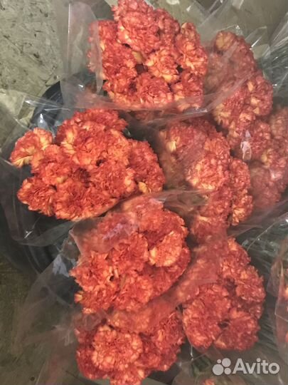 Гвоздики цветы