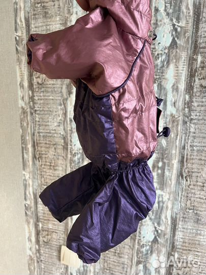 Дождевик для собак мелких пород